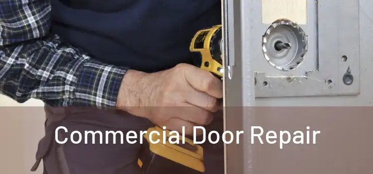Commercial Door Repair