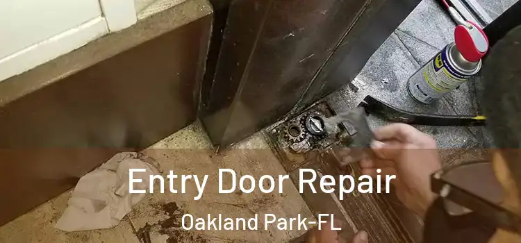  Entry Door Repair Oakland Park-FL