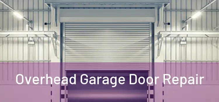  Overhead Garage Door Repair 